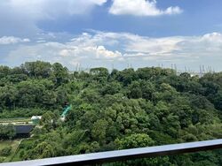 Normanton Park (D5), Apartment #574528981